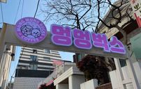 멍멍벅스 간판 포트폴리오