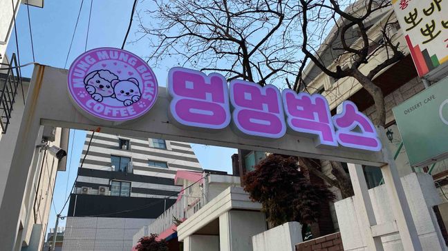 서울 마포구 베이커리 / 카페 일반형·전광조명 간판 제작 사례