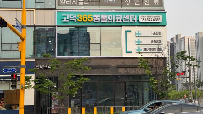 경기 평택시 병원 비조명·일반형 간판 제작 사례