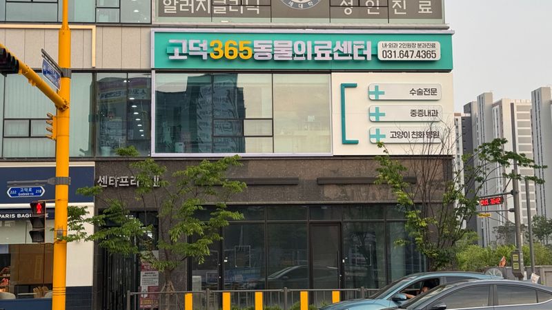 경기 평택시 병원 간판 제작 사례