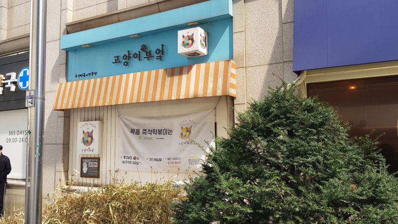 서울 양천구 일반음식점 간판 제작 사례