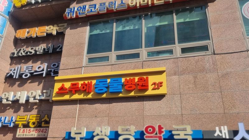 서울 동작구 병원 간판 제작 사례