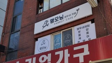 경기 베이커리 / 카페 간판 시공사례