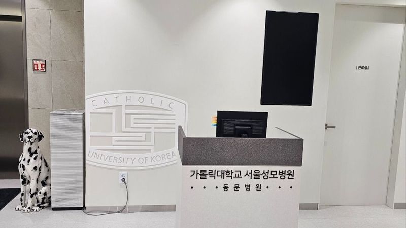 경기 안양시 병원 간판 제작 사례