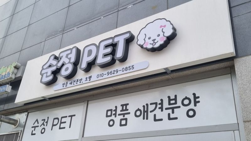 서울 강서구 일반 매장 간판 제작 사례