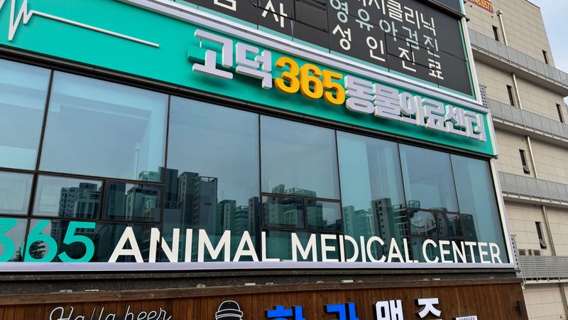경기 평택시 병원 간판 제작 사례