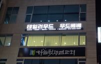 테일러무드베베 간판 포트폴리오