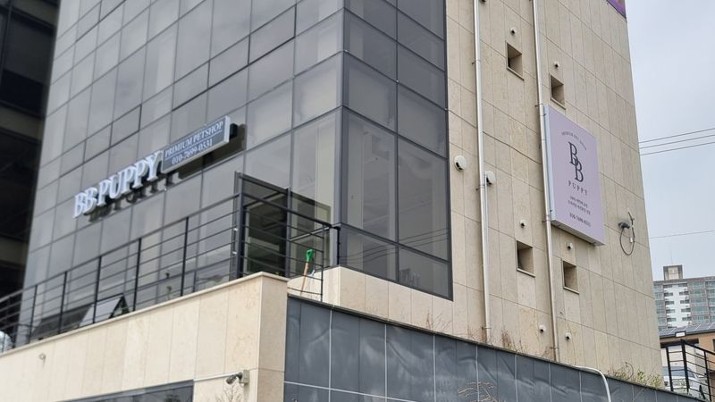 경기 고양시 일반 매장 간판 제작 사례
