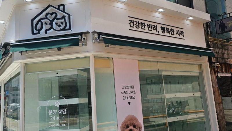 서울 양천구 일반 매장 간판 제작 사례