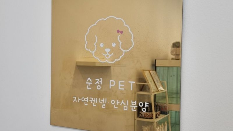 서울 강서구 일반 매장 간판 제작 사례