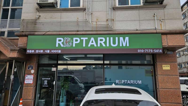 경기 수원시 일반 매장 간판 제작 사례