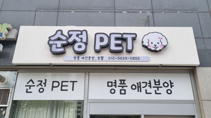 서울 강서구 일반 매장 간판 제작 사례